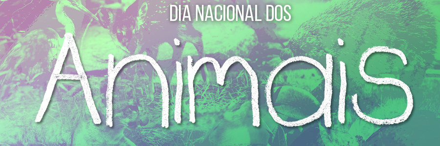 Fotografia de animais como fundo, da esquerda para a direita, garça, filhote de onça parda, filhote de veado, filhote de ouriço cacheiro e borboleta com efeito degradê de verde e roxo. No centro da imagem, em primeiro plano a frase 